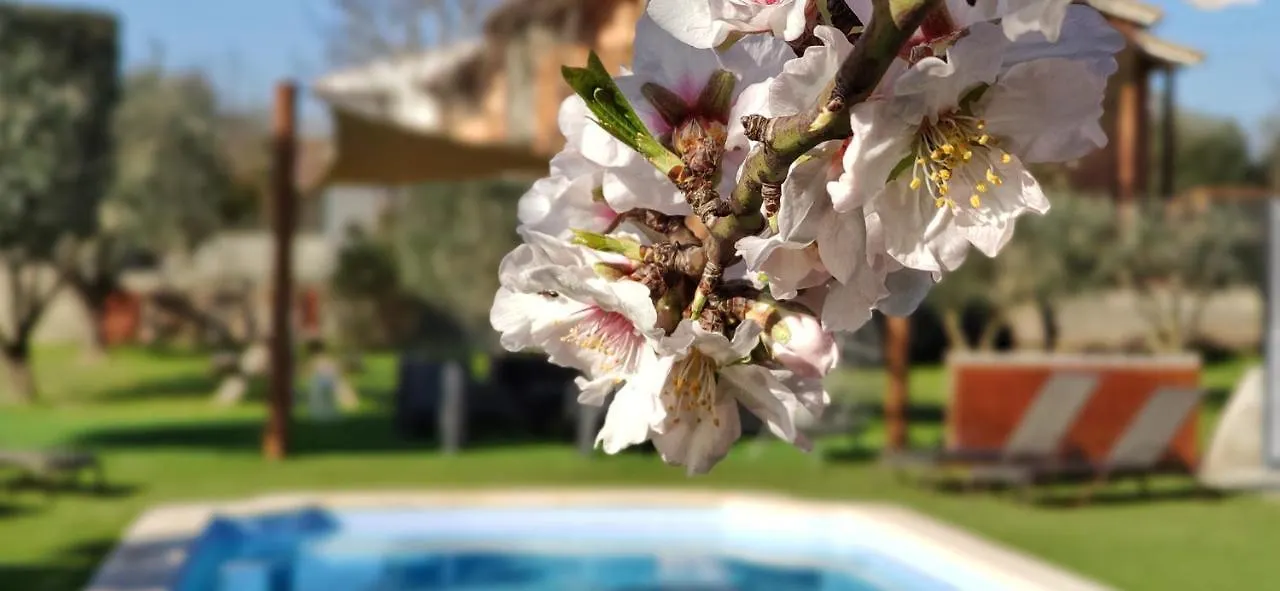 Feriehus Casita De Madera Villa Girona